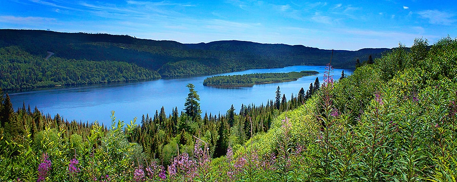 A river nestled between rolling hills covered in trees and flowers A river nestled between rolling hills covered in trees and flowers