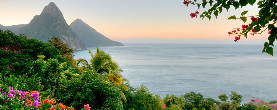 Mountain peaks descend to a bay while tropical vegetation and flower blossoms line the foreground Mountain peaks descend to a bay while tropical vegetation and flower blossoms line the foreground