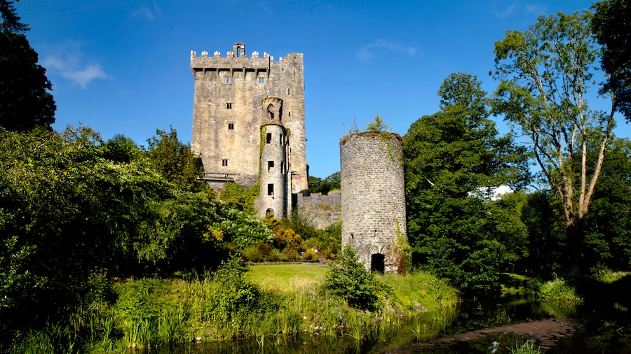 Blarney Castle on the edge of a grassy riverbank Blarney Castle on the edge of a grassy riverbank