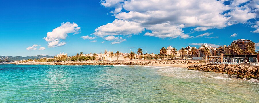 A daytime view of the beach, palm trees and buildings