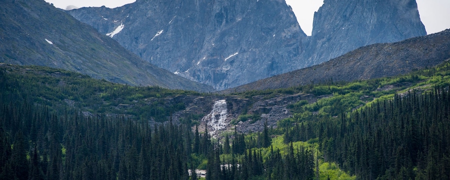 Alaskan landscape featuring rocky mountains, a cascade and a forest in Skagway Alaskan landscape featuring rocky mountains, a cascade and a forest in Skagway