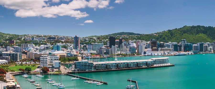Cruises from Wellington, New Zealand Disney Cruise Line