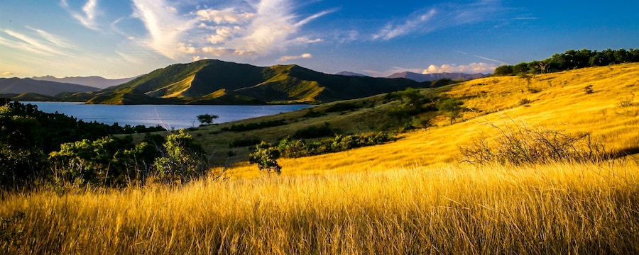 Rolling hills and mountains surrounding a body of water Rolling hills and mountains surrounding a body of water