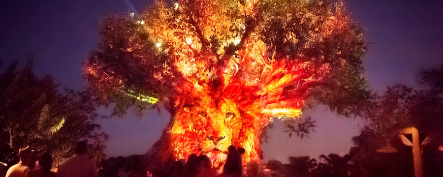 The Tree of Life has the face of a lion projected on its trunk with lights shooting from the top of the branches as a crowd watches below