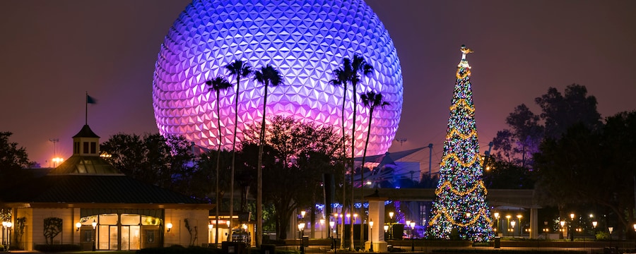 At night, a decorated Christmas tree near palm trees and the iconic symbol of Epcot, Spaceship Earth