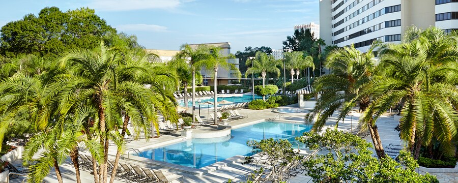 Un montón de palmeras cerca de 2 piscinas rectangulares frente a un hotel