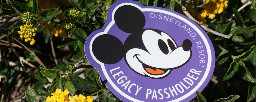 The Legacy Passholder logo sitting on top of a branch of flowers