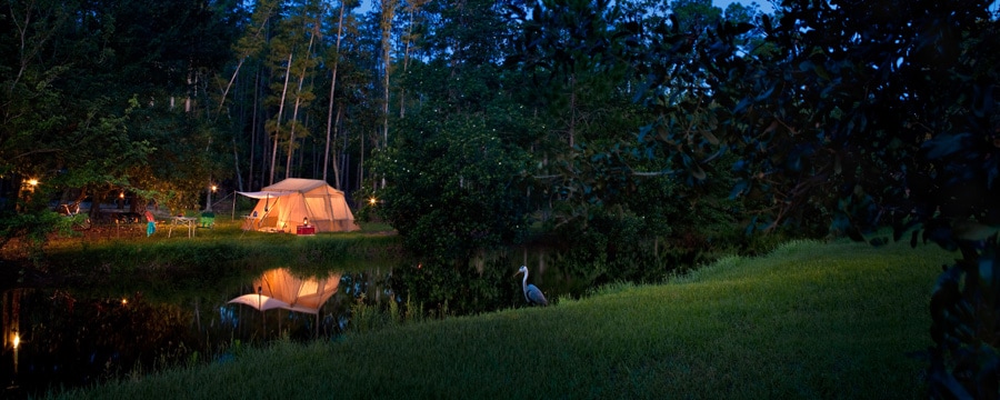 Acampamento no Disney's Fort Wilderness Resort, iluminado à noite