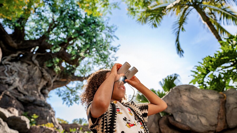young-boy-with-binoculars-at-animal-kingdom-theme-park
