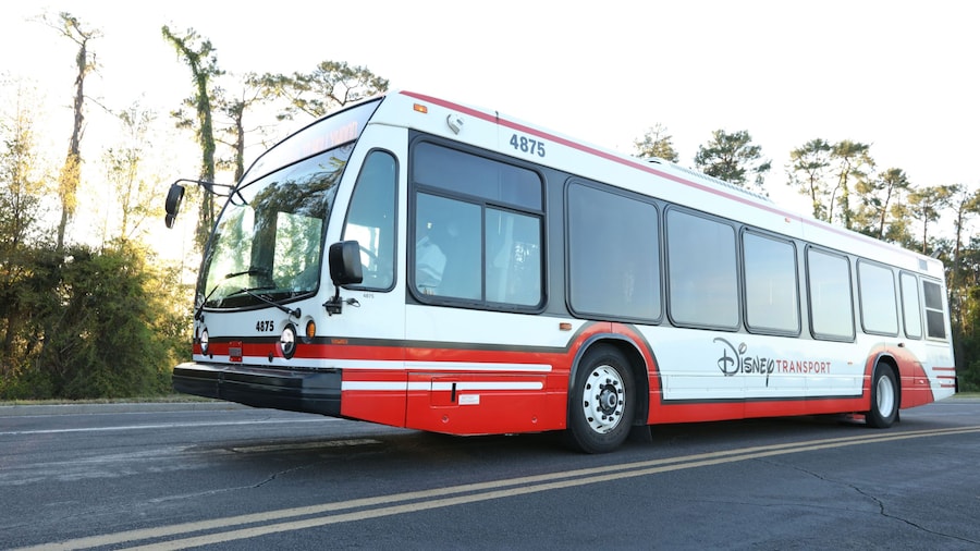 Transporte en autobús
