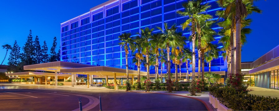 パームツリーが並ぶディズニーランド・ホテルのモダンなファサードが夜空に美しく映えます