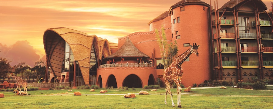 Giraffes walk on the wide open savanna at Disney’s Animal Kingdom Villas Jambo House