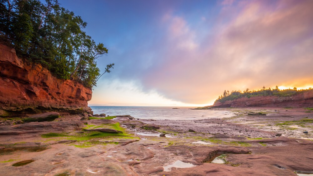 Explore the Ocean Floor from Halifax (Nova Scotia) Disney Cruise Line