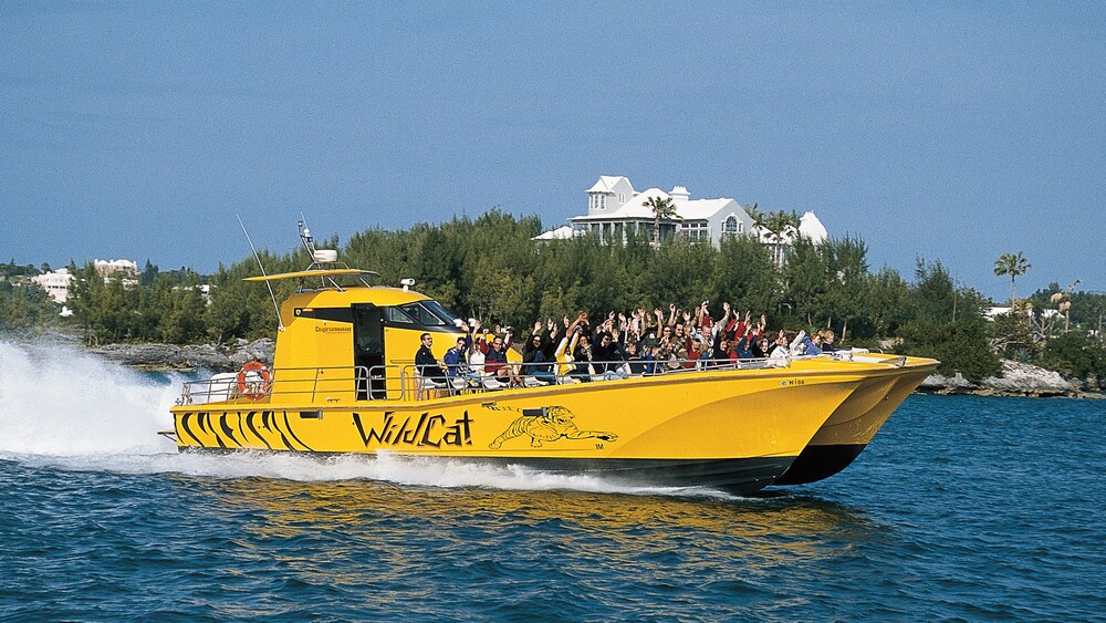 bermuda wildcat boat tour