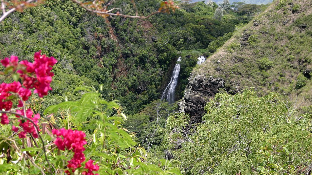 movie tours on kauai