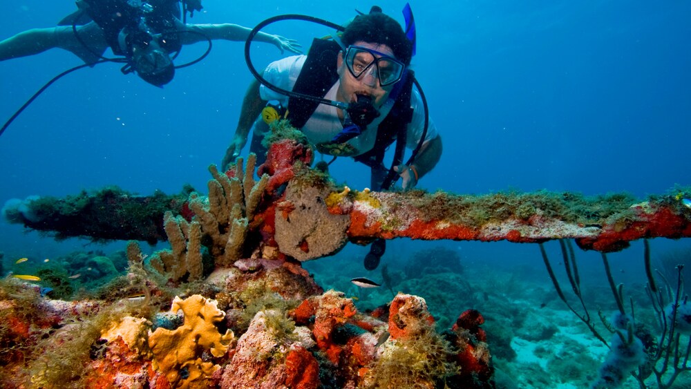 Aruba 2Tank Certified Scuba Dive Disney Cruise Line