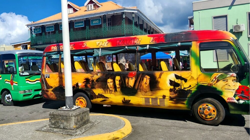 Roseau Shore Excursion in Dominica Port Adventure Disney Cruise Line