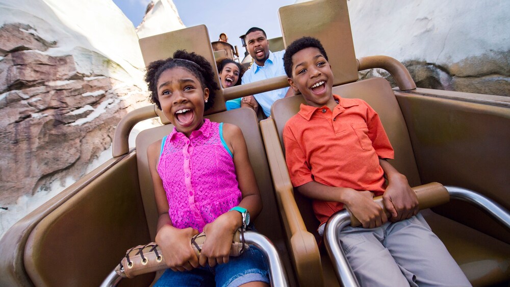 Walt Disney World Theme Parks | Walt Disney World® Official Site