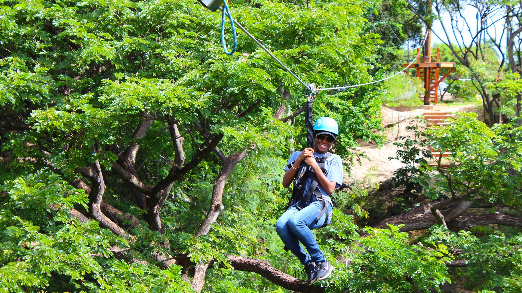 A boy wearing a helmet and harness rides a zipline through trees