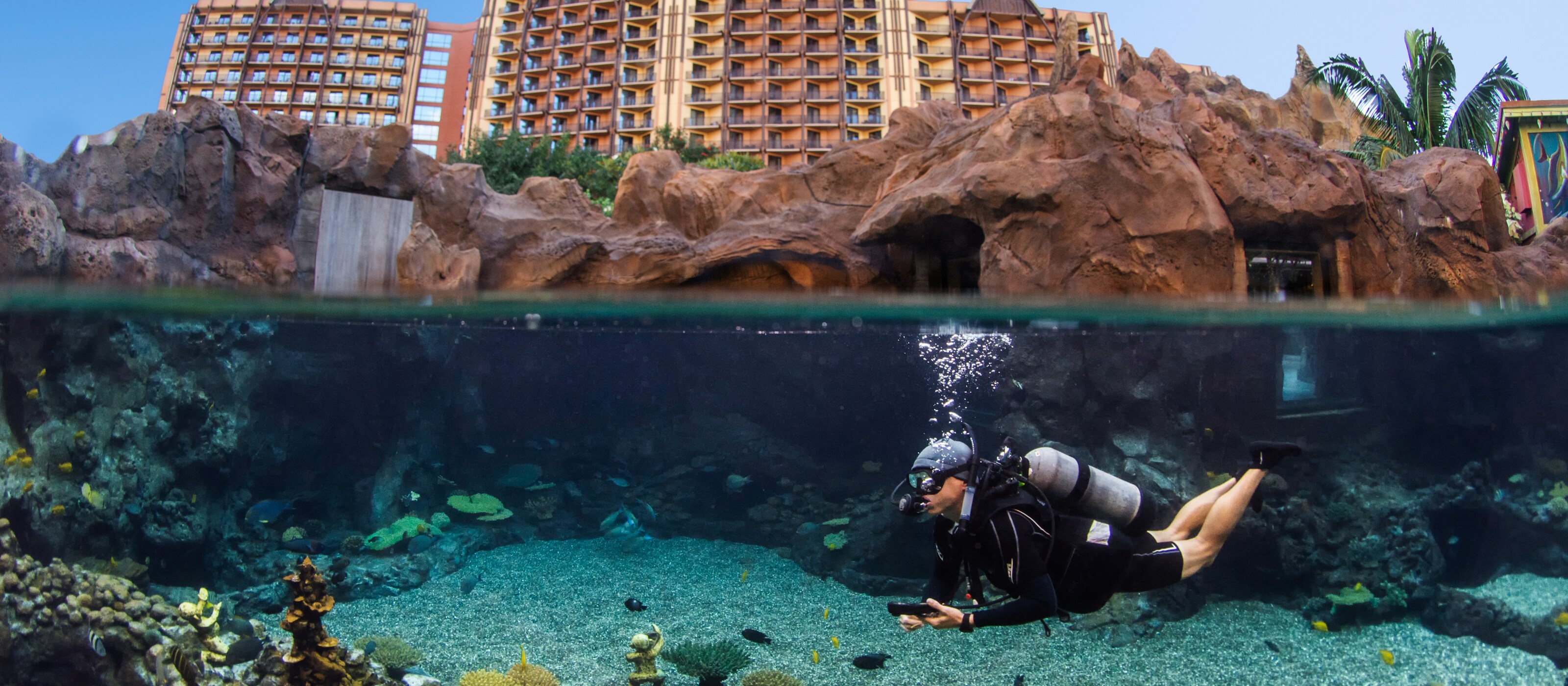 A man scuba dives at the Rainbow Reef lagoon at Aulani Resort