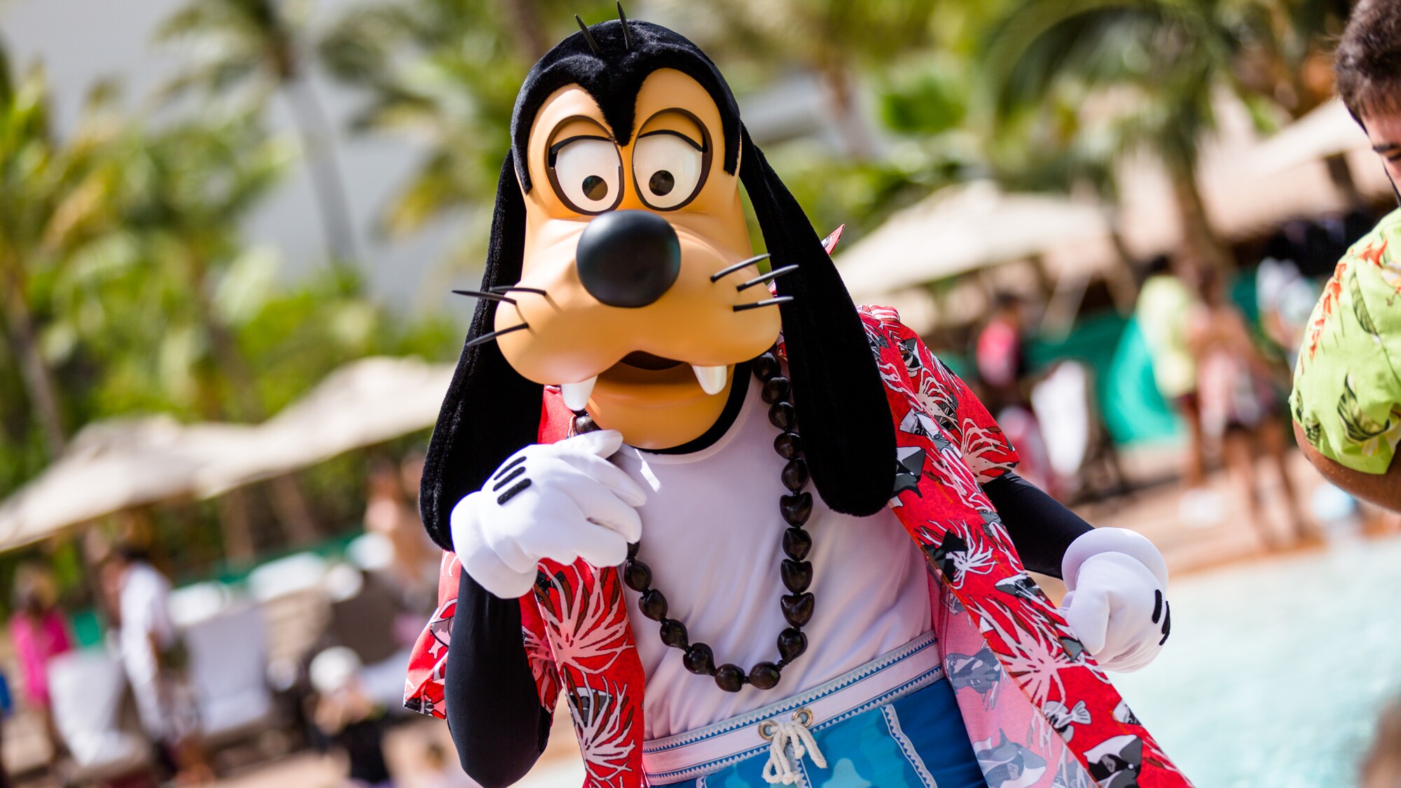 Goofy standing in a shallow swimming pool