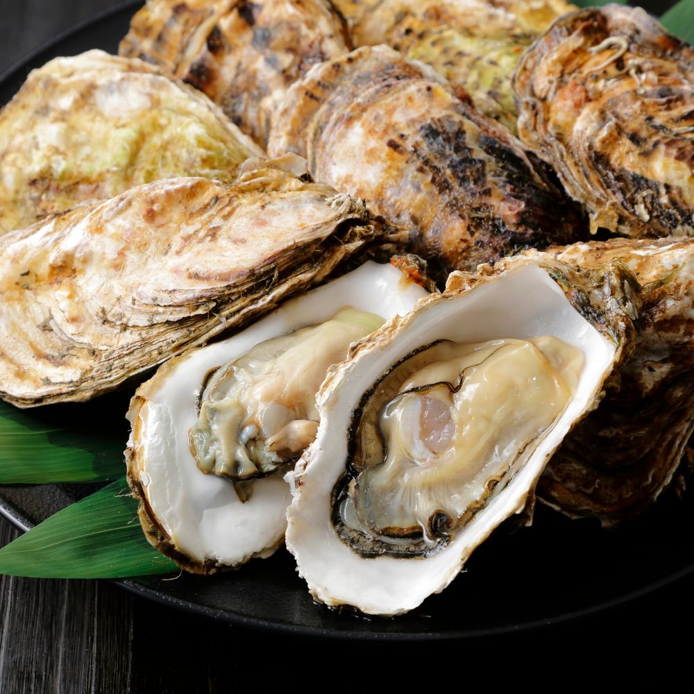 A plate of oysters, 2 of them shucked open