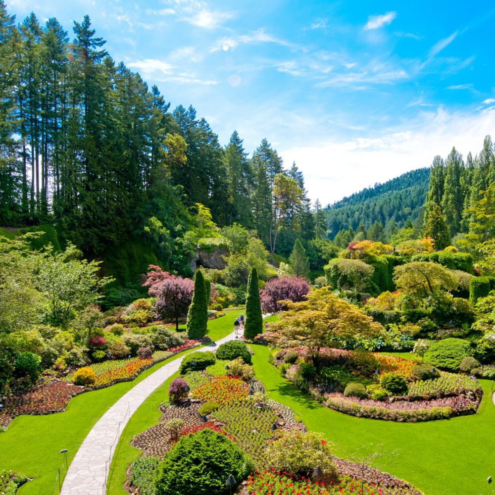Victoria Butterfly Gardens in Brentwood Bay, British Columbia