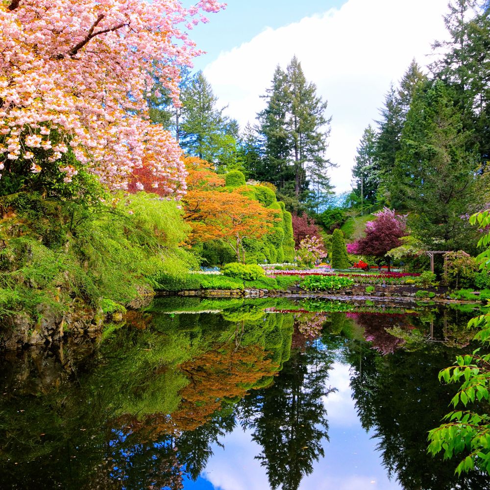 A small lake at Butchart Gardens in Victoria, British Columbia
