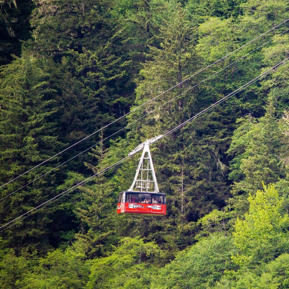 Guests traveling on the Goldbelt Tram through a forest in Juneau, Alaska