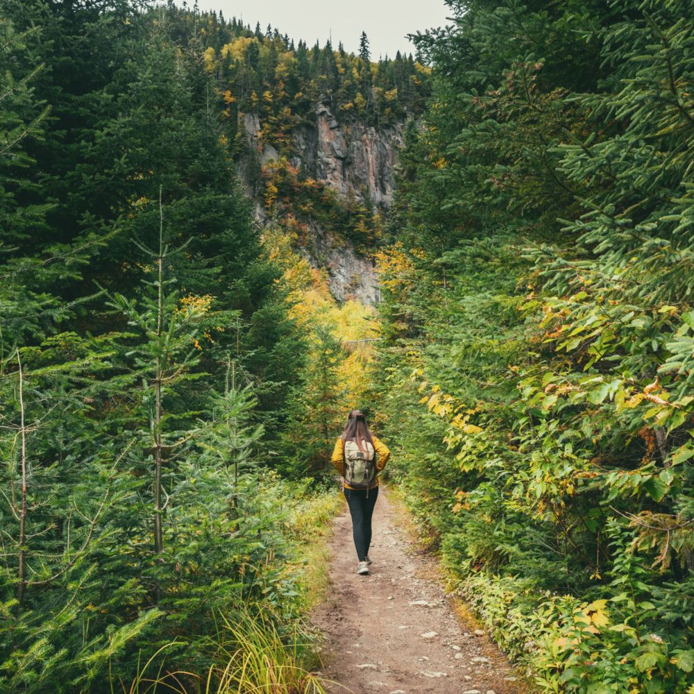 A Guest walking a forest trail in Ketchikan, Alaska