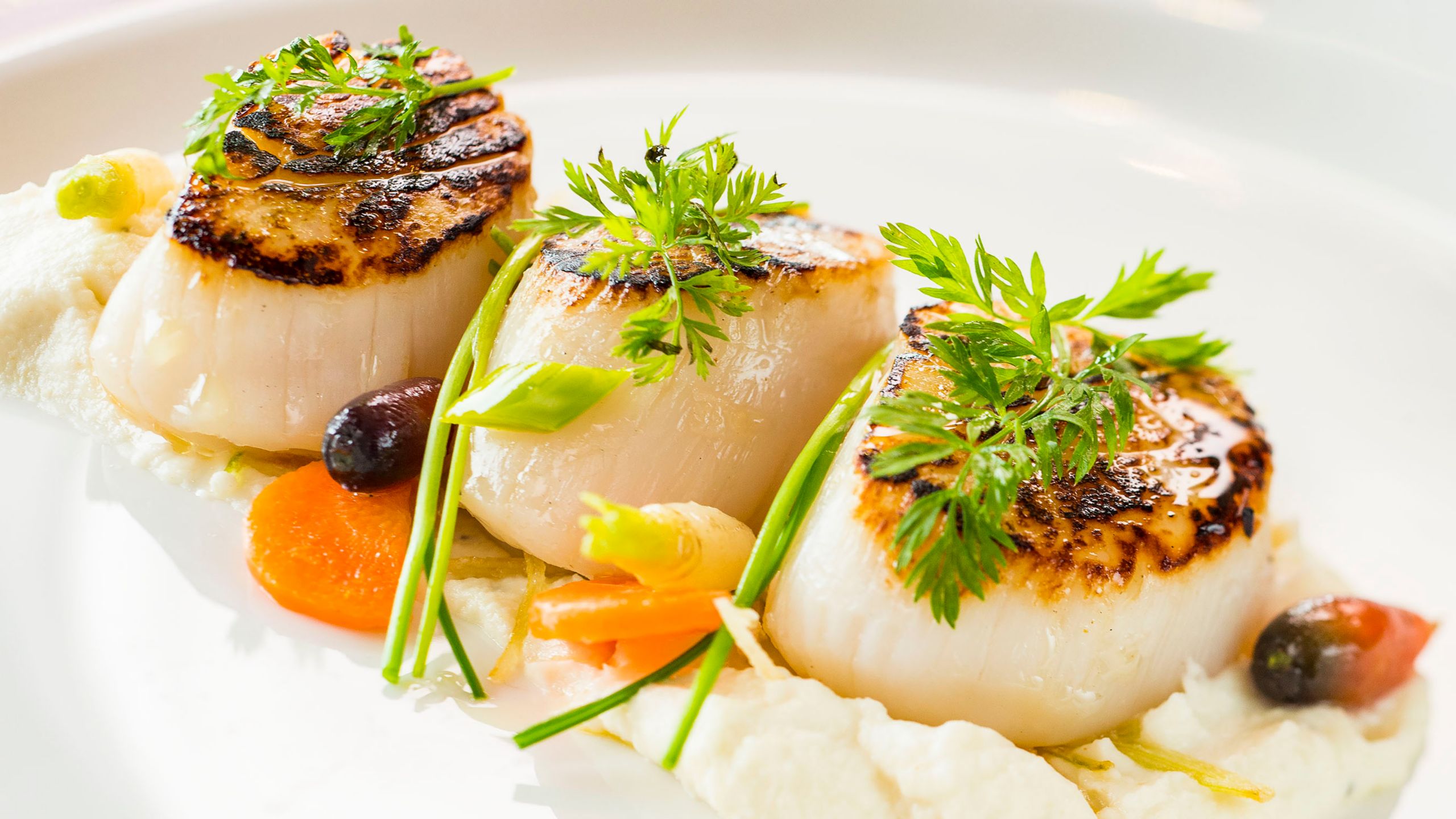 Un plato con vieiras selladas y vegetales asados, adornado con hierbas