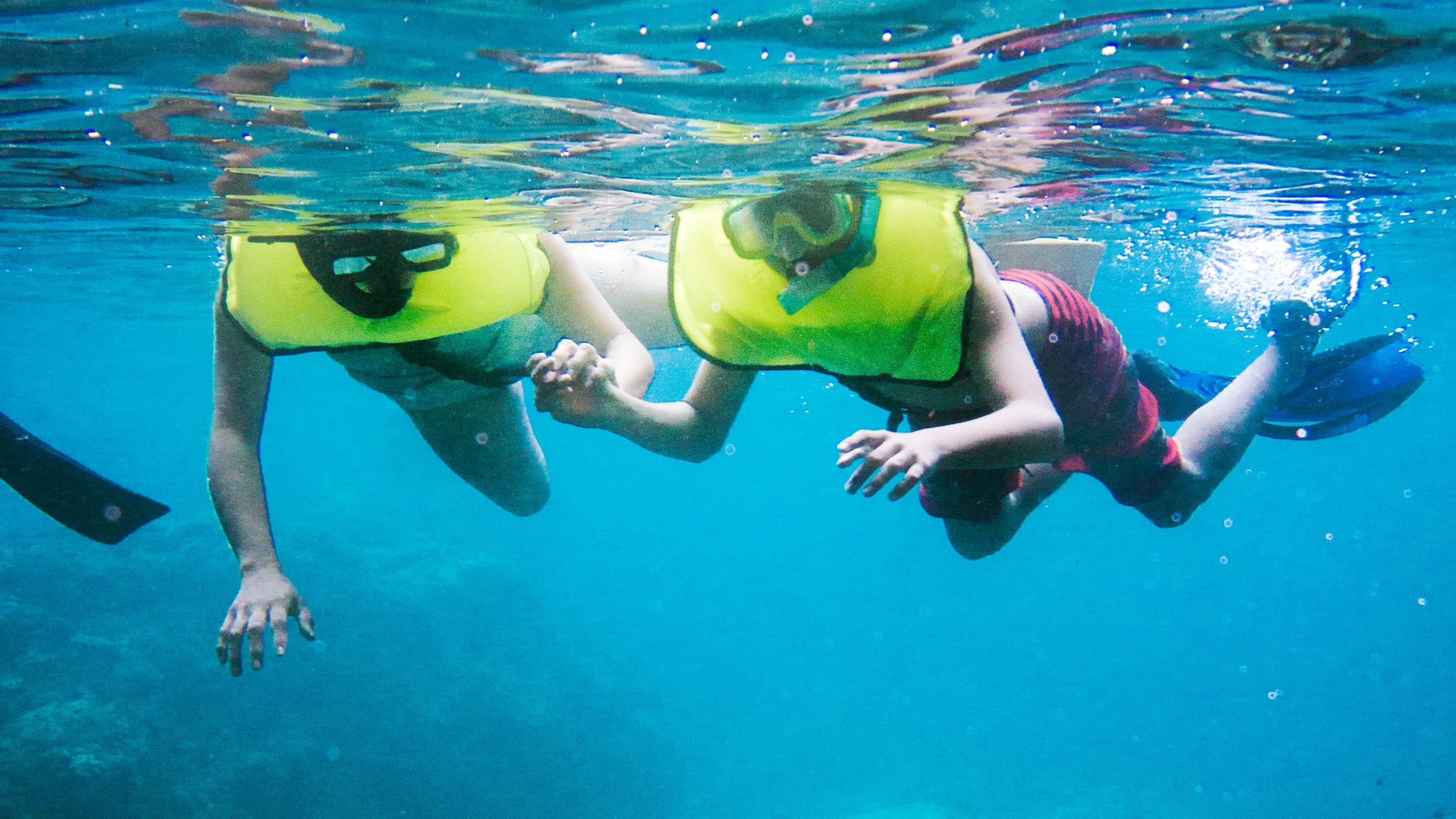 Two Guests snorkeling underwater wearing vests and masks while holding hands