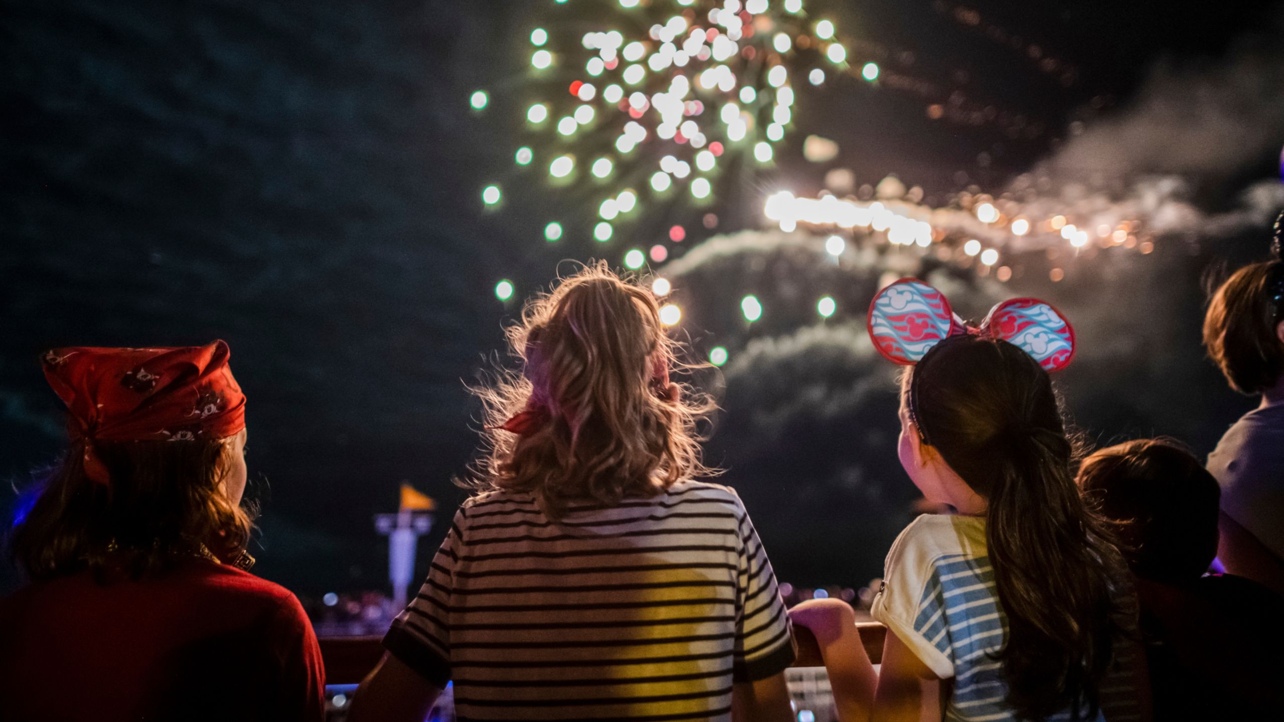 A group of people looking at fireworks