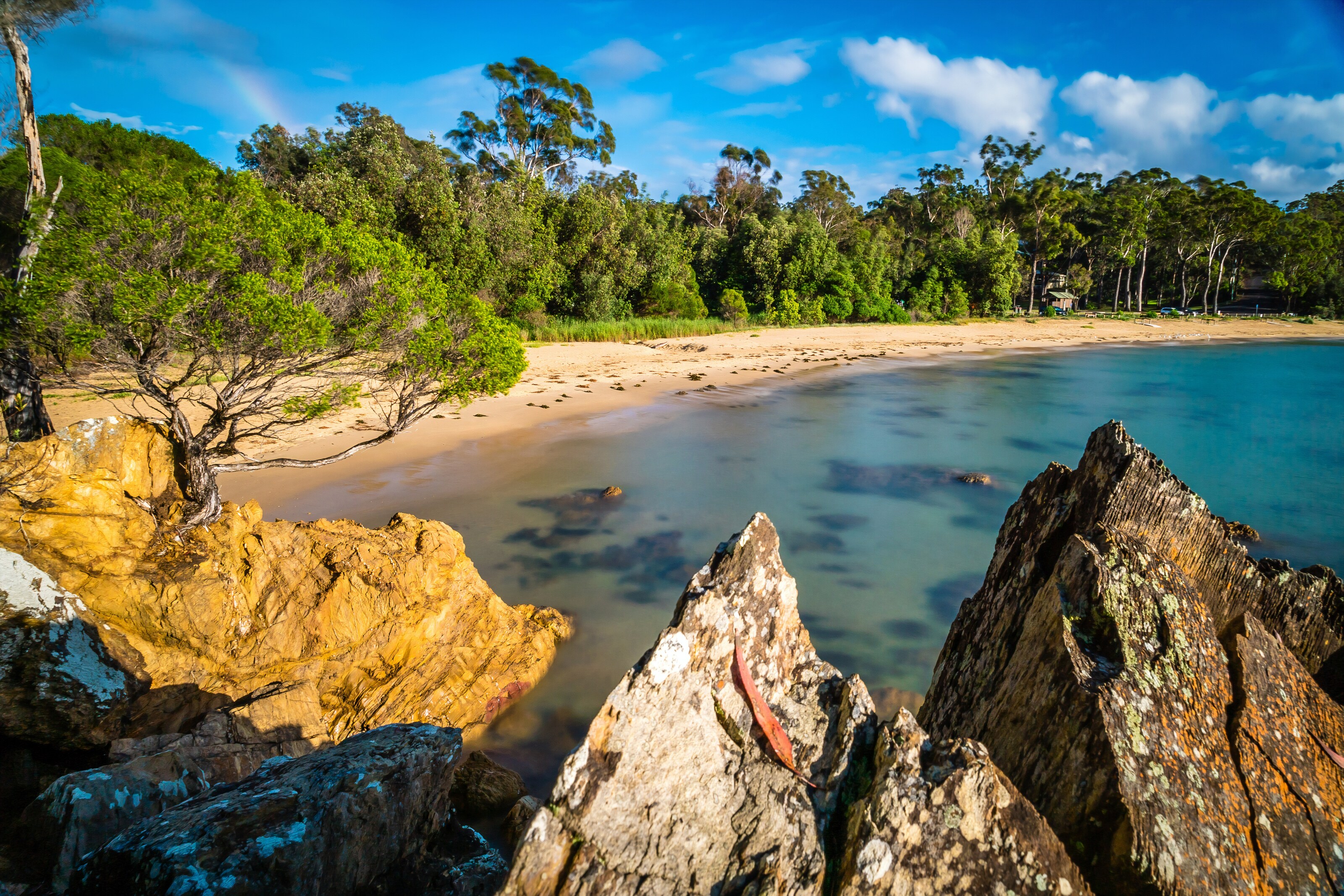 An unspoiled lagoon with coastal oaks and rocky outcrops