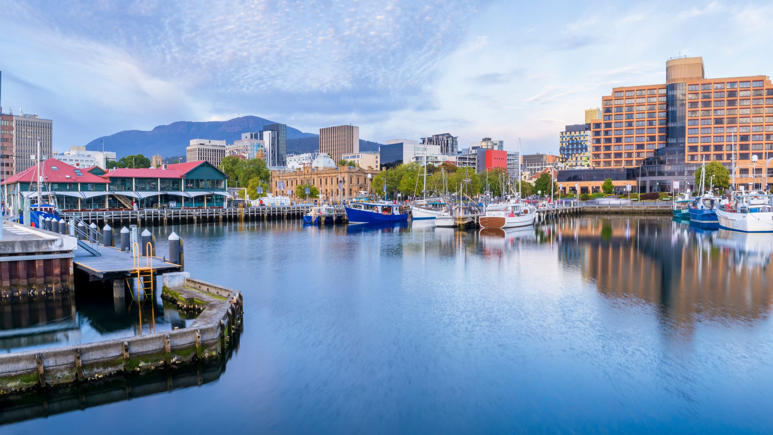 A harbor lined with pleasure boats and contemporary buildings