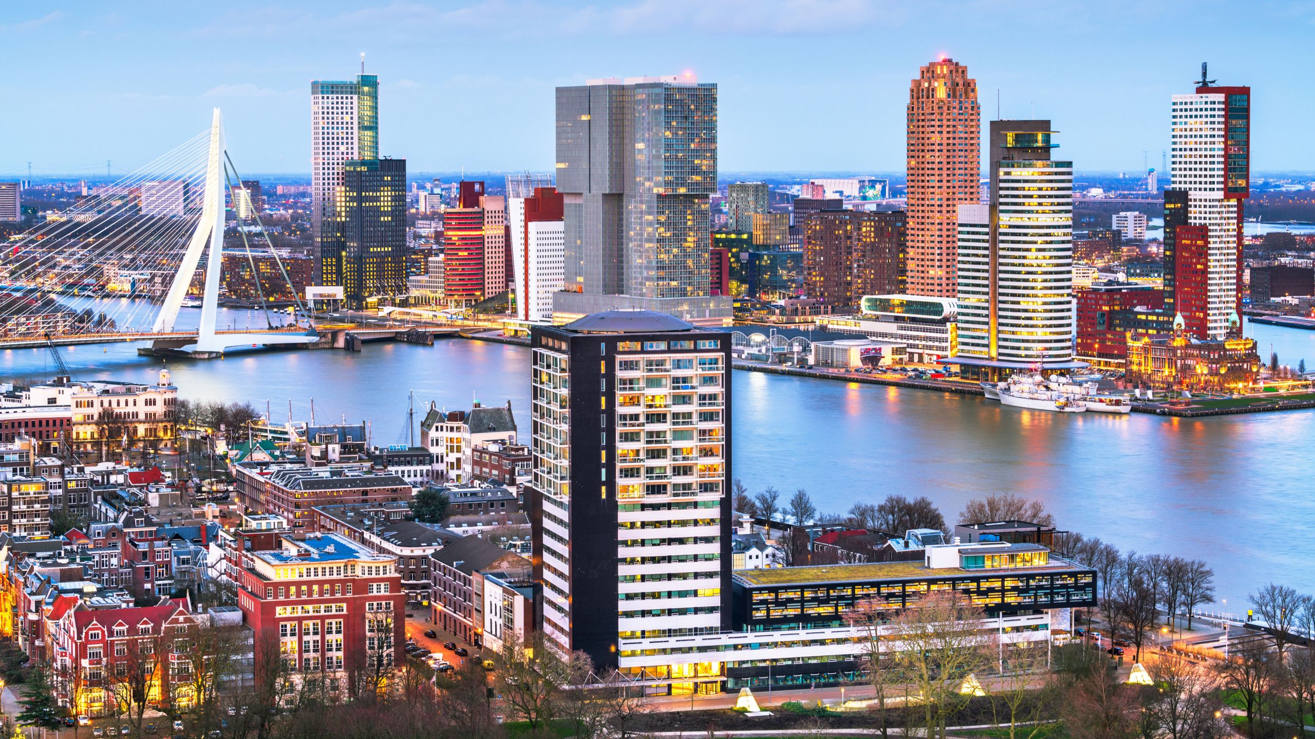 The Rotterdam skyline featuring the waterfront and the Erasmus Bridge 