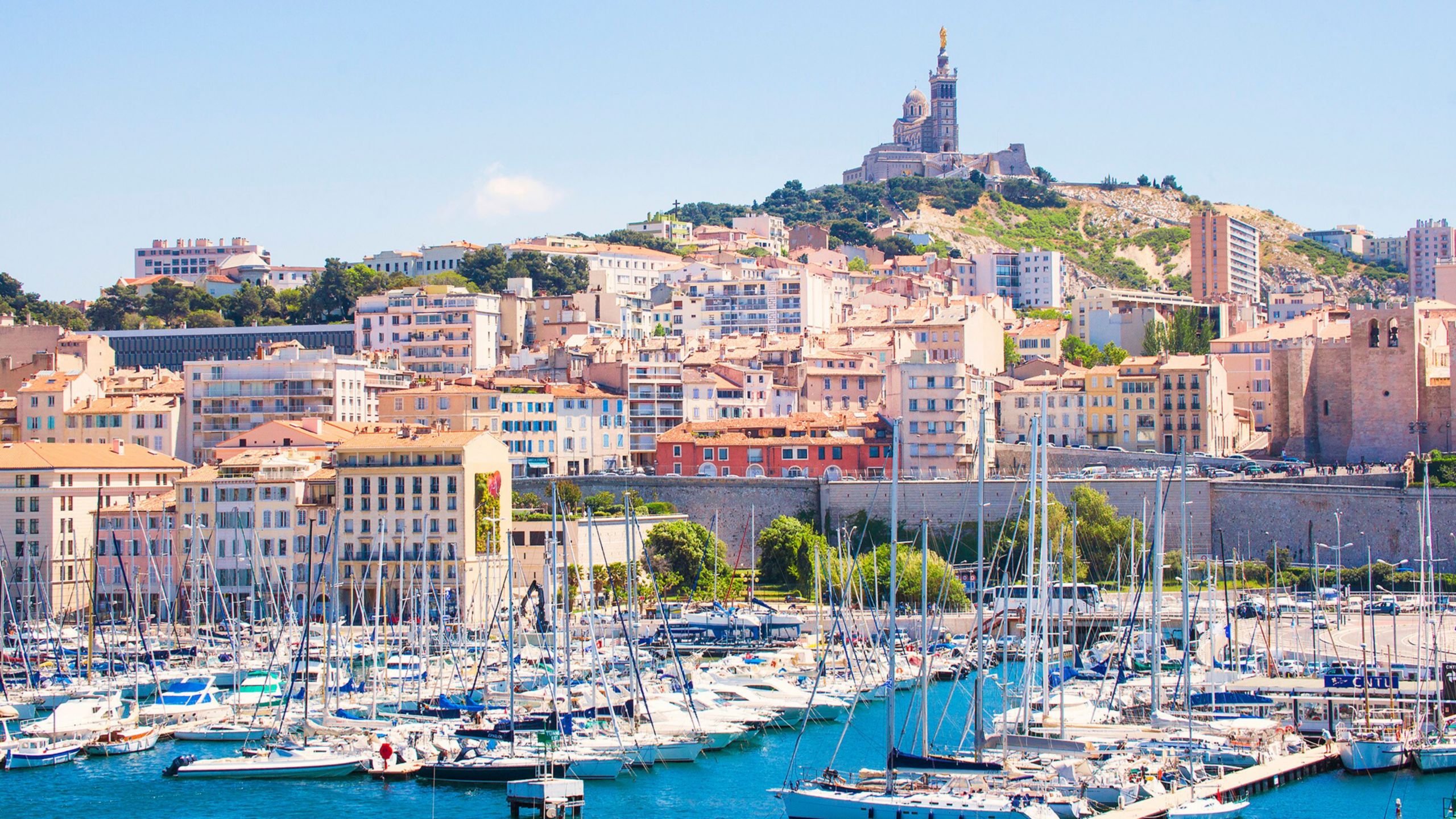 A marina full of boats near a city and a hill topped by a cathedral