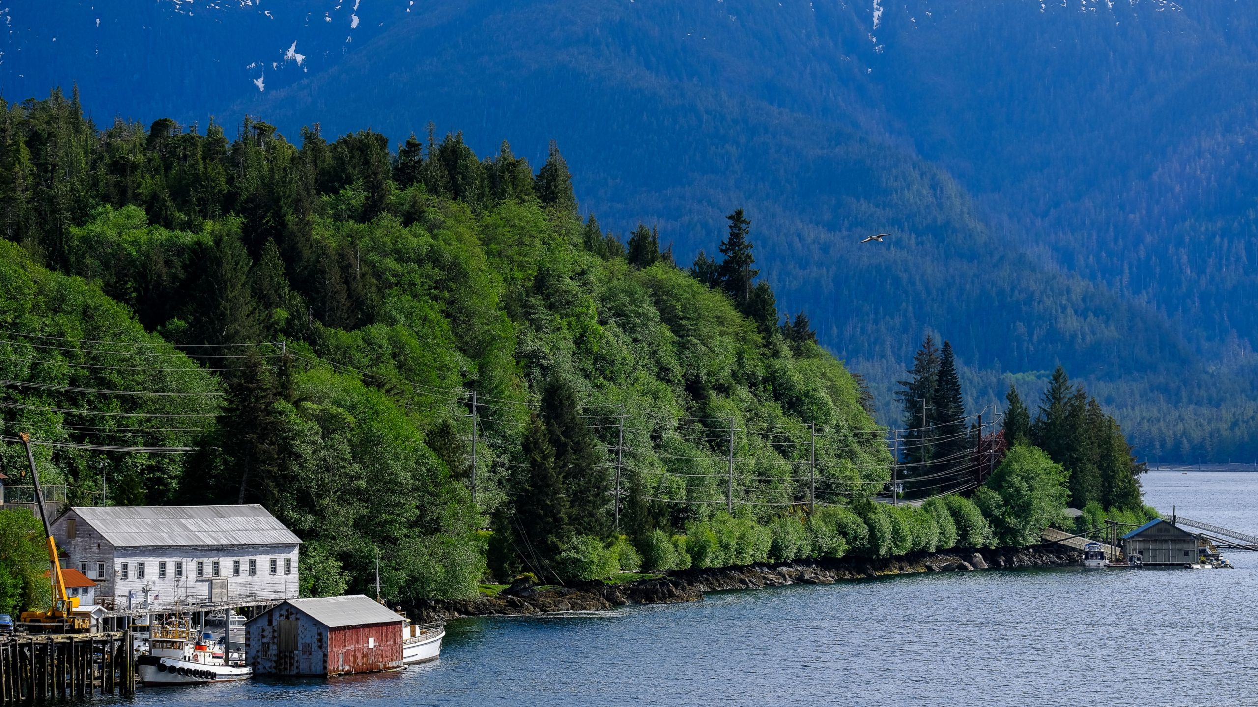 The hilly, forested shoreline of Ketchikan with a boathouse, moored boats and snow capped mountains