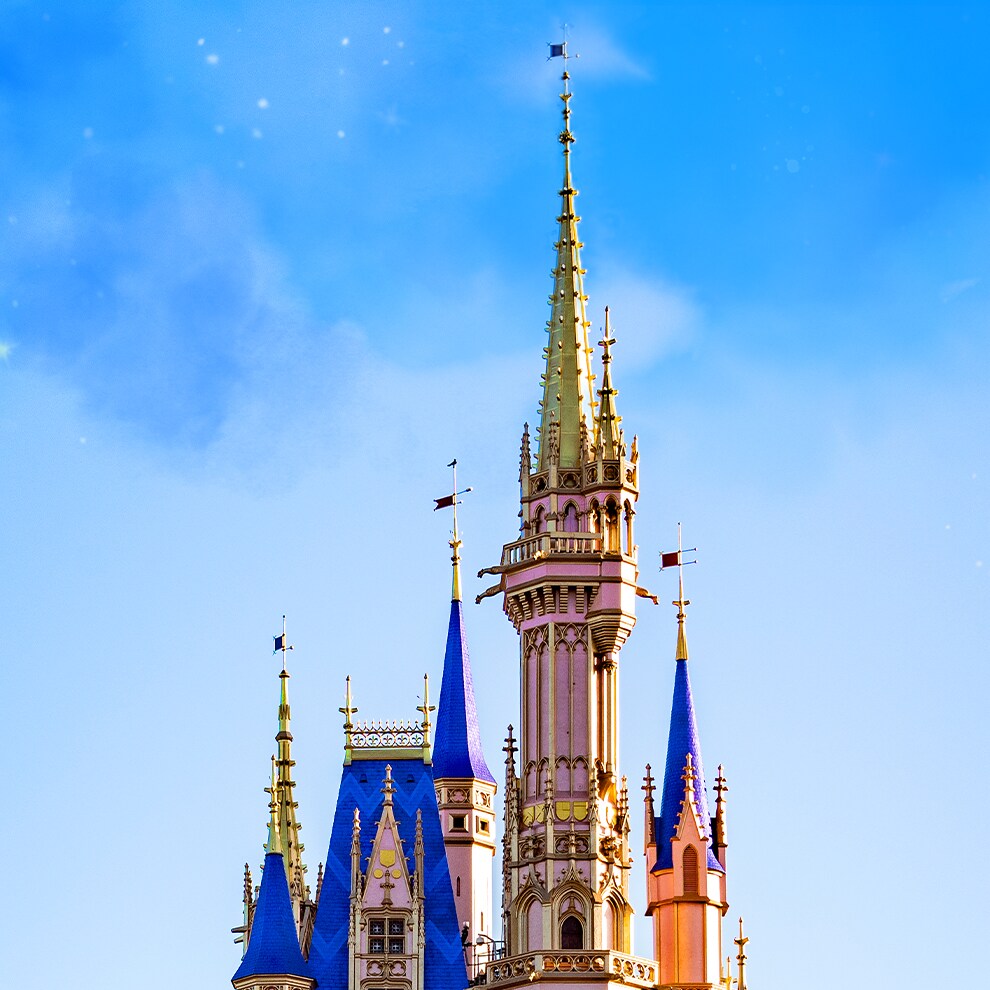 Disney Vacation Ownership Flexible Timeshare Program Disney Vacation Club