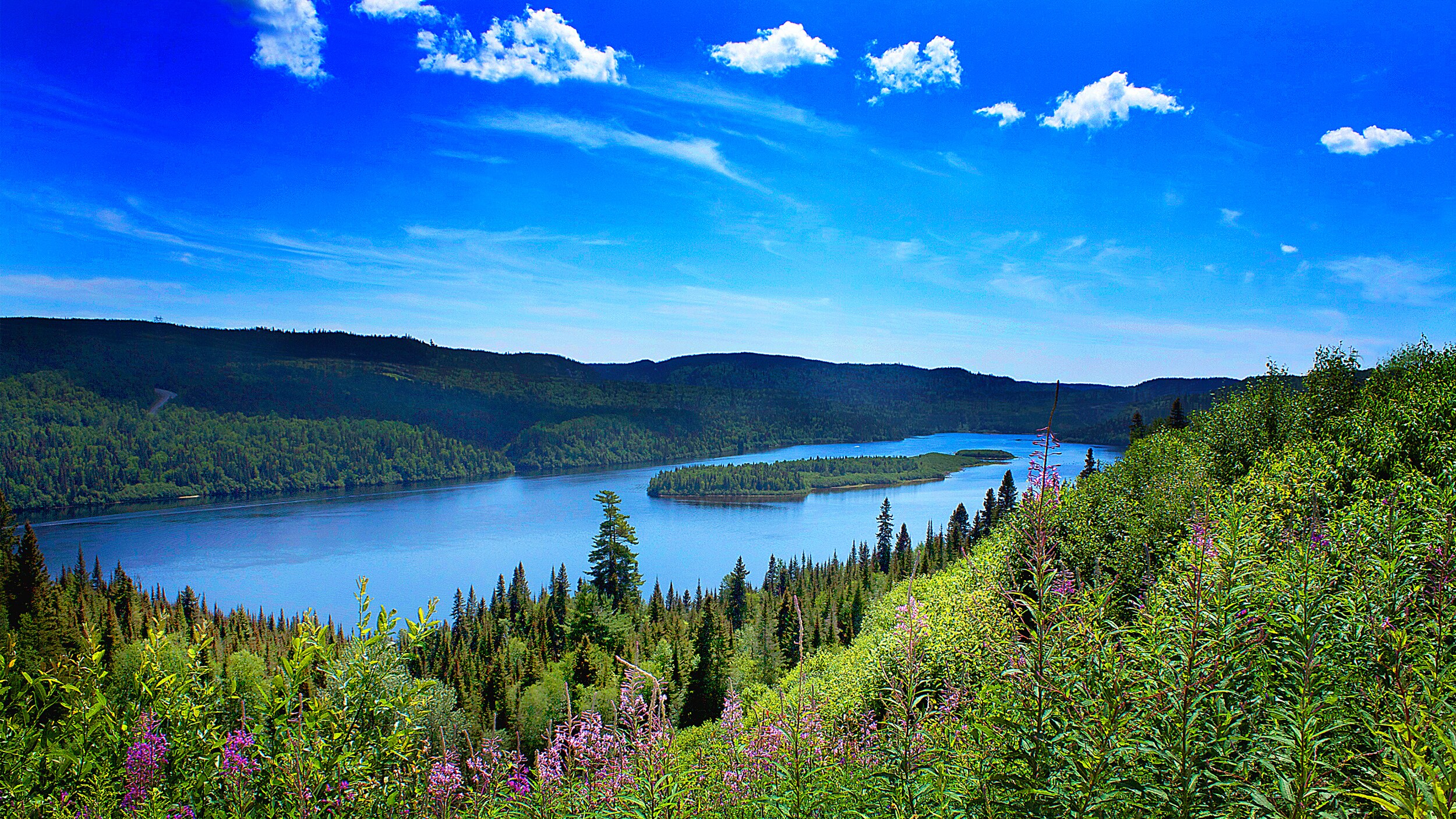 A river nestled between rolling hills covered in trees and flowers