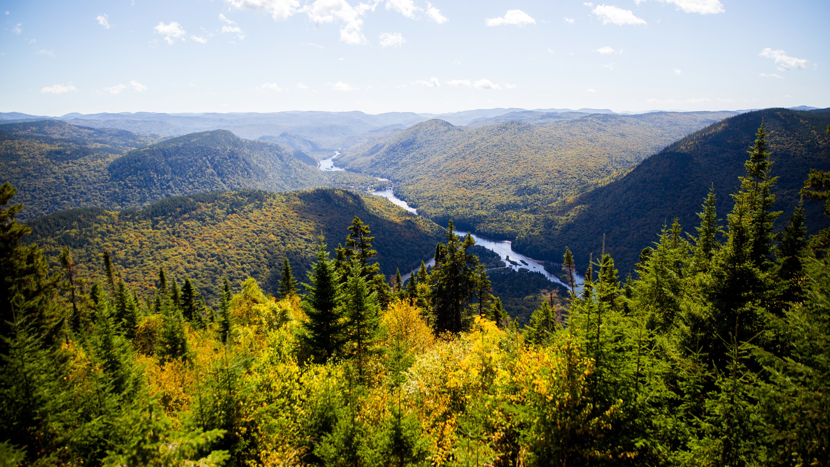A river cuts through a hill strewn valley covered in trees